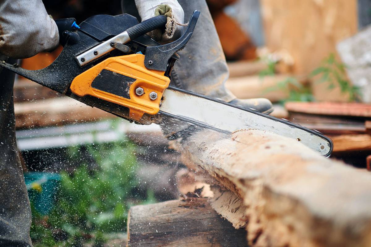 Man cut with saw. Dust and movements. Woodcutter saws tree with chainsaw on sawmill. lumberjack.